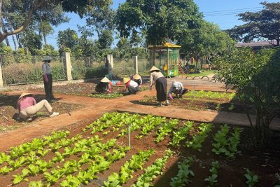 VƯỜN RAU XANH – KHÔNG GIAN TRẢI NGHIỆM BỔ ÍCH CHO TRẺ MẦM NON